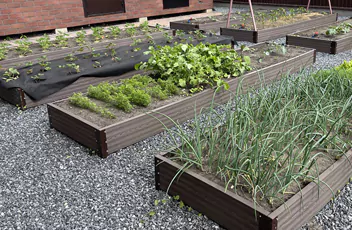 Грядки из ДПК